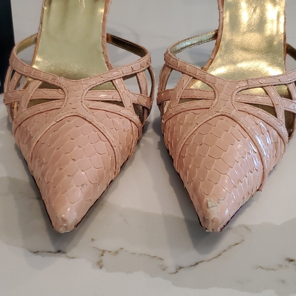 Dolce & Gabbana lizard hills - Picture 7 of 11